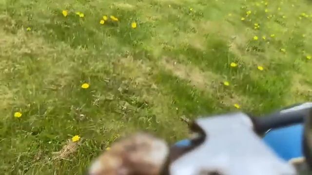 ТГ 200 ранний муравей 1968г.в. смотреть онлайн