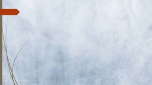 Угадай страну по флагу| Викторина /Страны Европы | Часть 2.