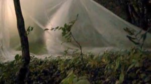 Простейшая палатка из полиэтилена