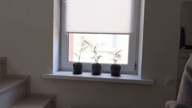 ИСТОРИЯ О ТОМ, КАК Я ЦВЕТЫ САЖАЛА смотреть онлайн