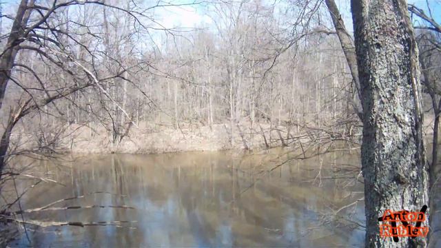 Прогулка Выходного дня! Часть 1 смотреть онлайн