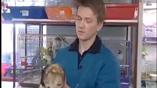 Совет Уход за хорьком смотреть онлайн