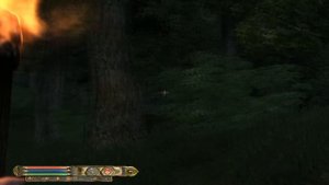Elder Scrolls: Oblivion - Nehrim: At Fate's Edge 98 - Finding the Hidden Tomb