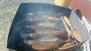 Копченая щука