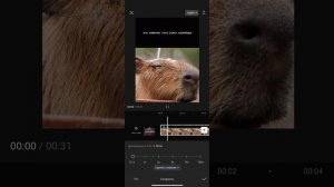 как замедлить или ускорить видео в приложении capcut