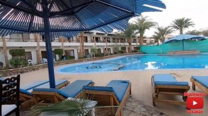 Turquoise beach hotel 4* / Встреча с блогером / Шарм Эль Шейх / Египет 2019