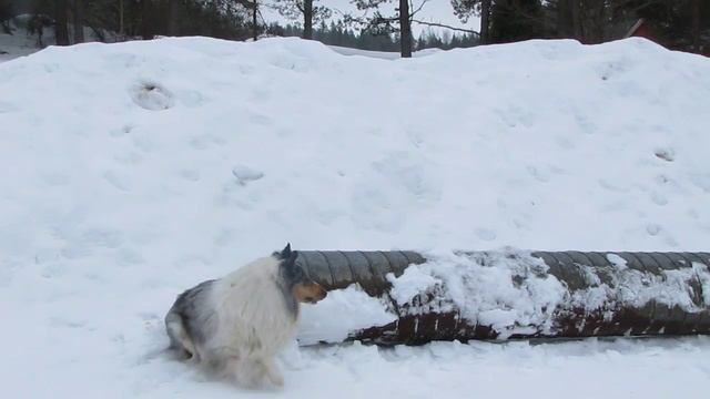 Putki 1 смотреть онлайн