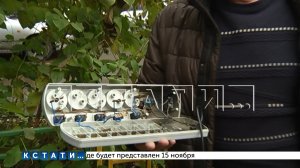 Из-за скачка напряжения техника стала взрываться у жителей многоквартирного дома