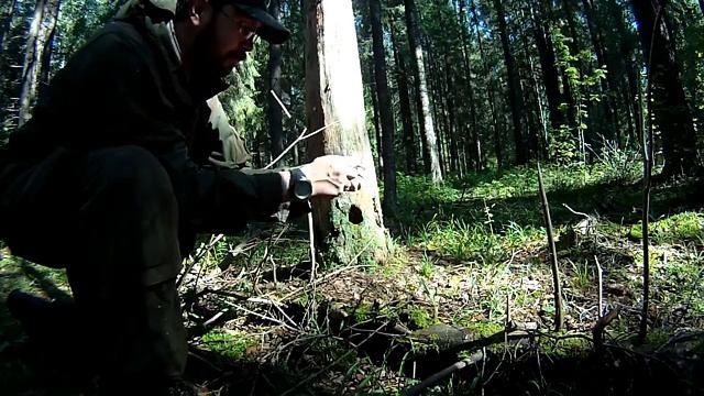 Сюрприз для кладоискателей