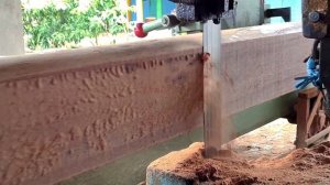 Banyak hasilkan uang..!! omsetnya Ratusan juta.Kayu rusak dari pabrik Jadi Rebutan sawmill