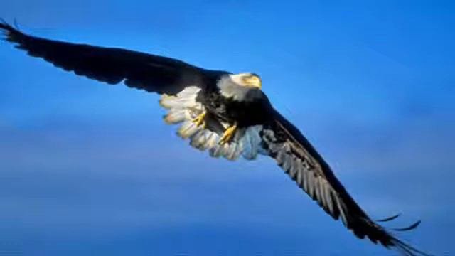 Desperado (Eagles)