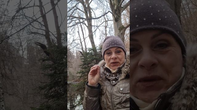 школы разные нужны,  школы разные Важны!!!