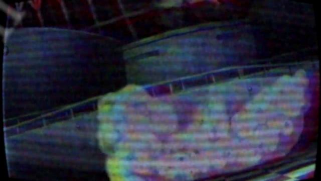 Кто такие голуби? Зачем их кормить? смотреть онлайн