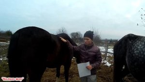 Как подобрать седло правильно/Ответы на вопросы по содержанию