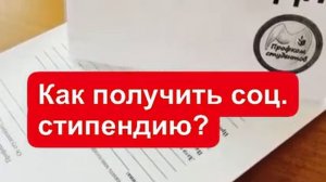 Как получить социальную стипендию? Как оформить стипендию?
