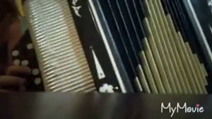 Сыграл белорусскую народную песню ехал ясь на коне на баяне