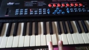 Черный кот на синтезаторе)