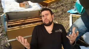 Сахар уменьшает жизнь пчел. Ускоренное развитие пчелиных семей весной без подкормки сахаром.