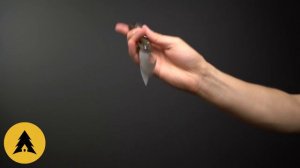 Складной нож Spyderco Dragonfly 2 Zome Green