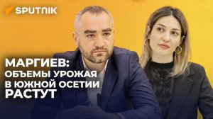 Поддержка сельхозпроектов и проблемы отрасли: в Sputnik обсудили сельское хозяйство Южной Осетии
