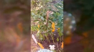 Каникулы в селе Мошок