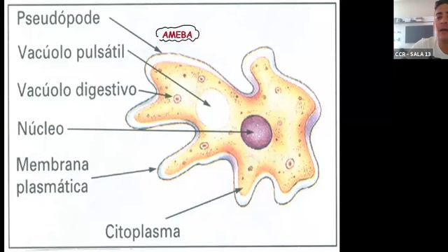 3ª SÉRIE A - BIOLOGIA (25/09) смотреть онлайн