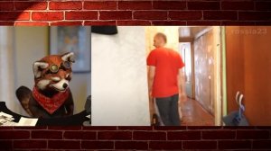 Дизайн дома | реакция Red Panda | @vesti_rossia23