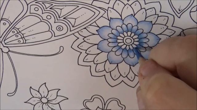 Magical Jungle Coloring Tutorial Part 3 How To Color Flowers And Butterflies Coloring Book смотреть онлайн