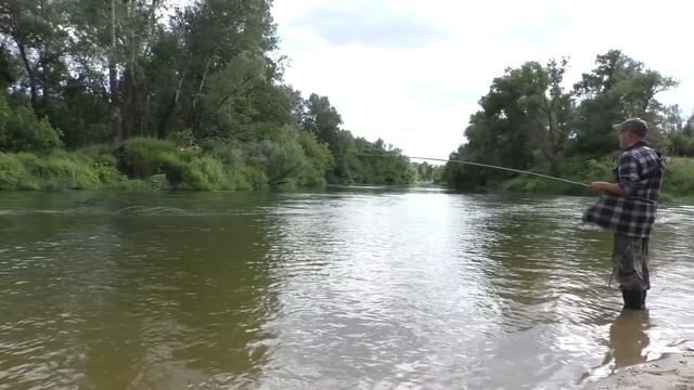 Рыбалка на речке 30 июня 2022 смотреть онлайн