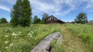 Продажа жилого дома в деревне Кротынь Устюженского района Вологодской области