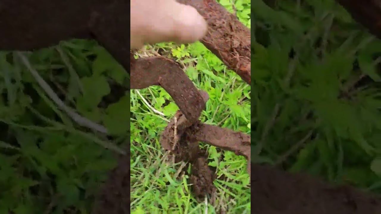 #металокоп Что за штуковина смотреть онлайн