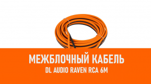 Распаковка DL Audio Raven RCA 6M межблочный кабель 6м