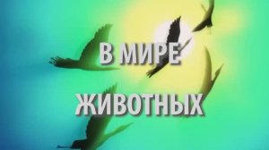 "В МИРЕ ЖИВОТНЫХ"