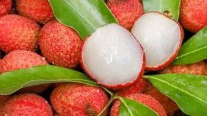 Как Выращивать  Личи В Домашних Условиях