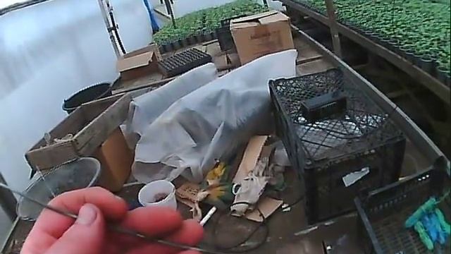 Теплица крючки для приспускания помидоров смотреть онлайн