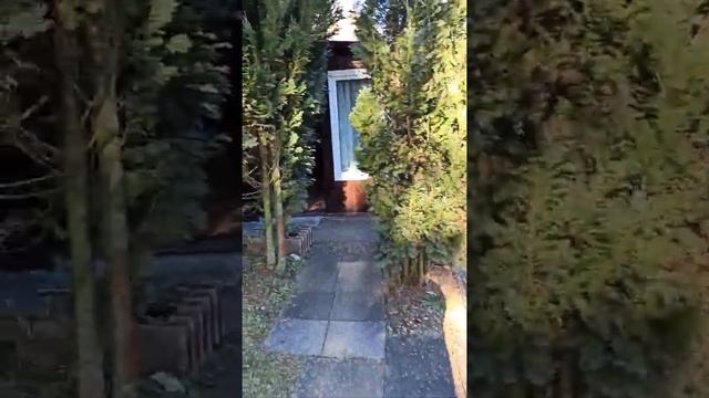 Дачи в Германии смотреть онлайн