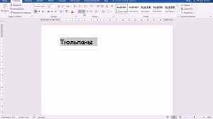 Microsoft Word для начинающих. Урок 2 "Выравниваем текст и вставляем картинки"