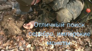 Удачные лесные поиски.