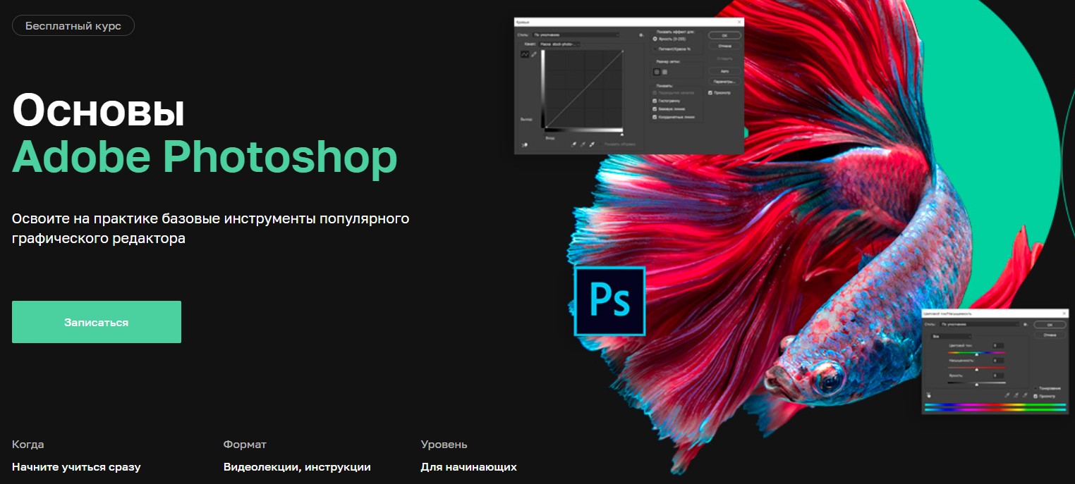 Курс «Основы Adobe Photoshop» #Курс #Основы #Adobe Photoshop» #shorts #Course #Basics