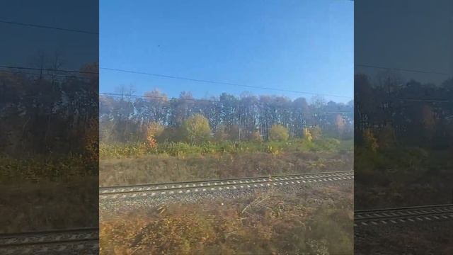 Перегон Топканово-Богатищево (04.10.20)