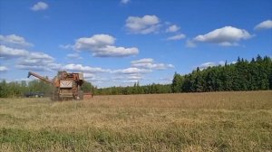 Уборка зерна 2023