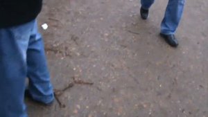 ярмарка голубей г кропоткин 28,03,2021г часть2