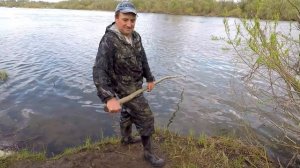 Рыбалка на Паук! Как Быстро Наловить Уклейку для Приготовления "Шпрот"!