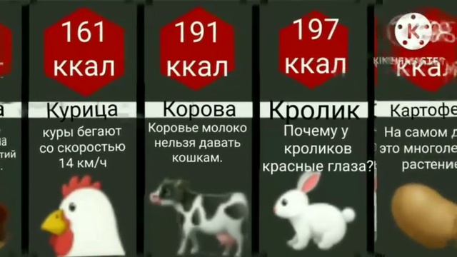 Сравнение: самая калорийная пища смотреть онлайн