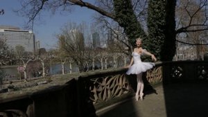 Фея Зимы (балет, ballet)