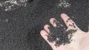 Сепарирование биогумуса