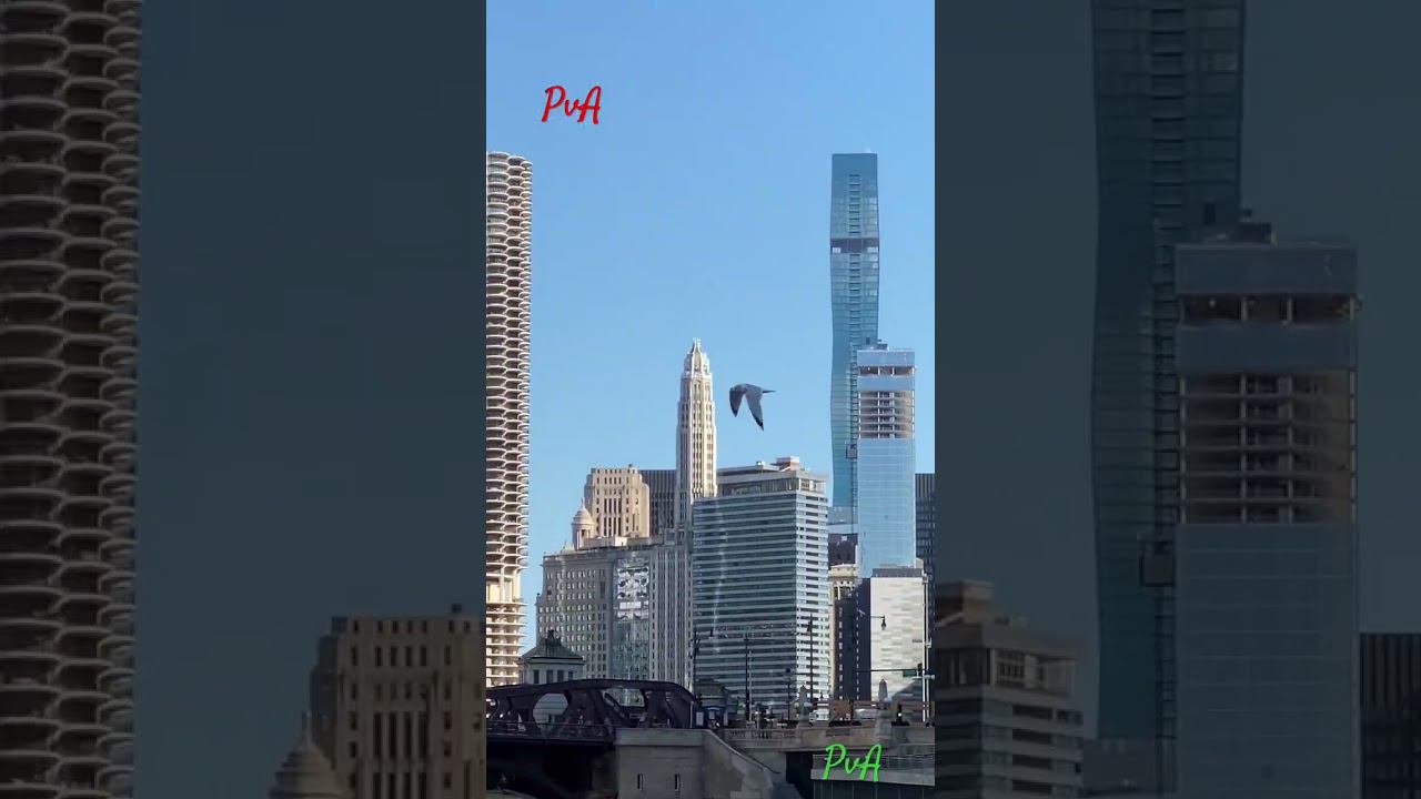 Америка .Chicago речной трамвайчик/3 ⛴❤️