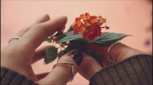 Для души .Весна в душе. Красивые цветы.