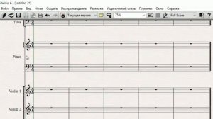 Sibelius Об акколадах