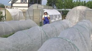Дачные советы с Галиной Старосельцевой Июнь 06-2019